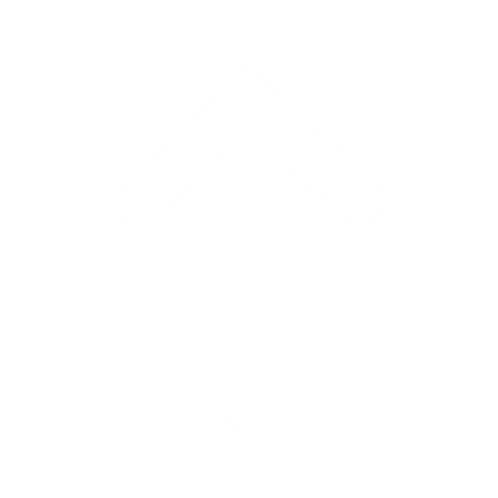 Seta voltar para o topo